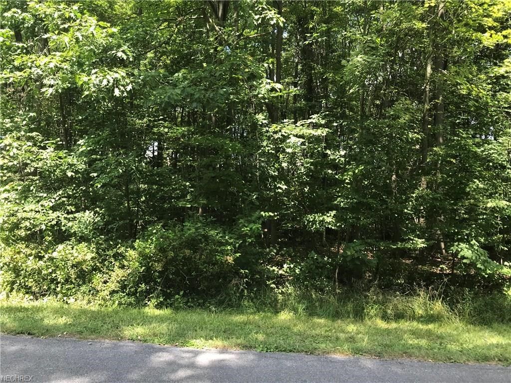 S Park Ln, Rock Creek, OH 44084 Trulia