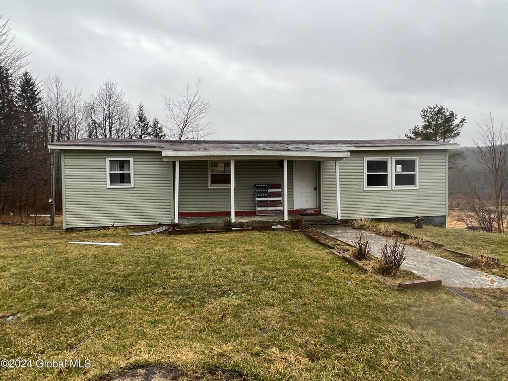 1675 Thousand Acres Road, Delanson, NY 12053 MLS 202413651 Trulia