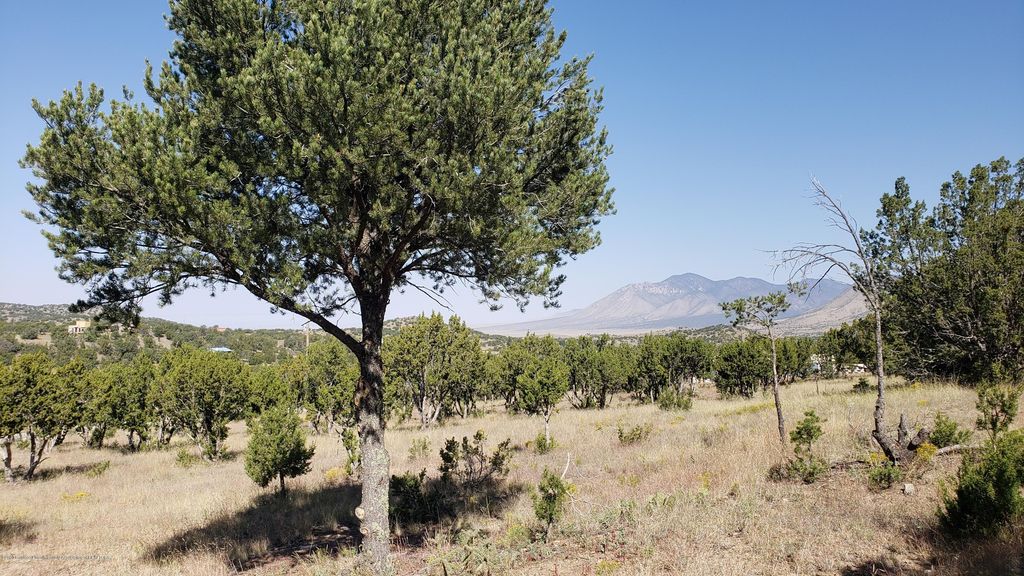 117 Nogal Canyon Rd, Nogal, NM 88341 Trulia