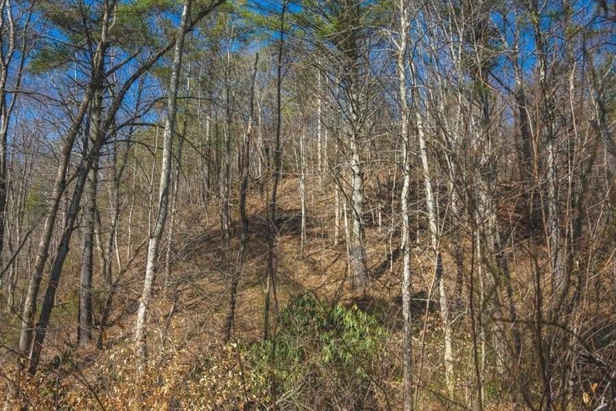 Offering 6 Weddle Creek Rd, Floyd, VA 24091 Trulia