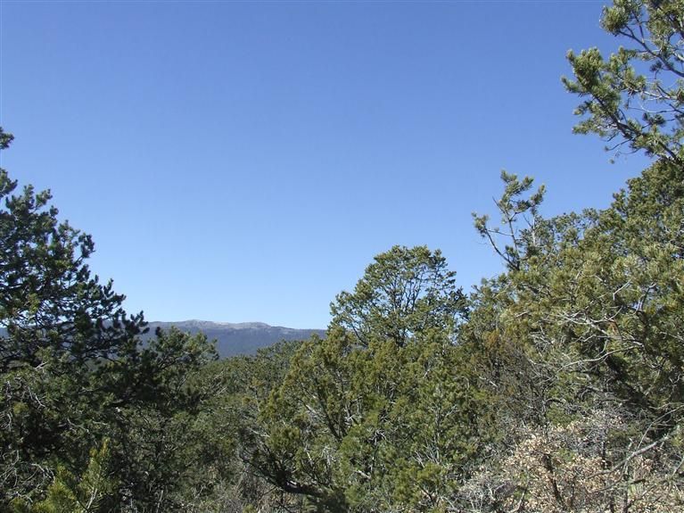 91 Lost Valley Loop, Cedar Crest, NM 87008 Trulia