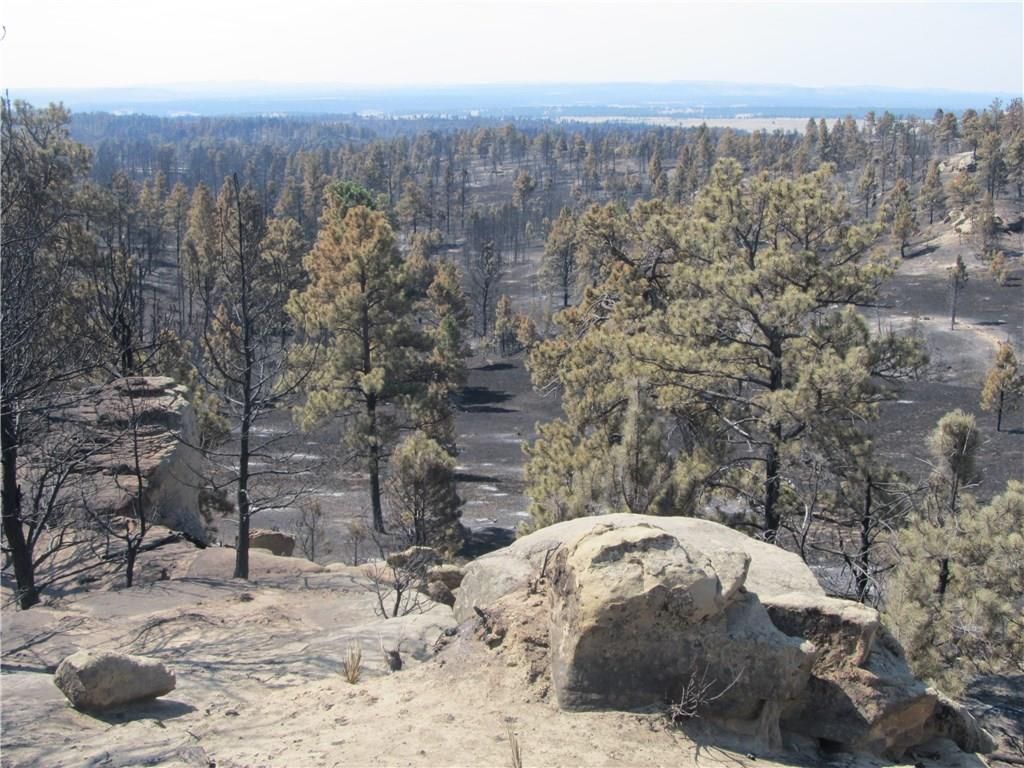 52 Sheepherder Trl, Roundup, MT 59072 Trulia