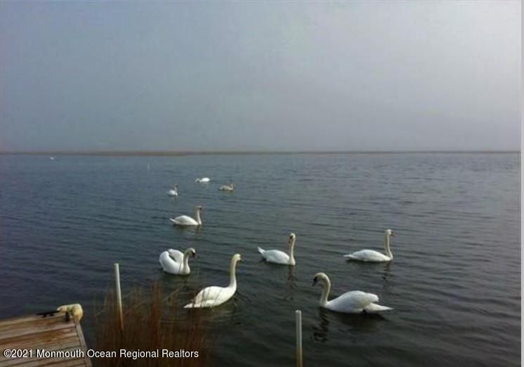 1389 E Mallard Drive, Manahawkin, NJ 08050 Trulia