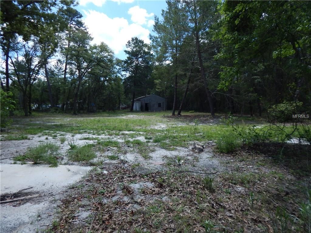 42315 Pine Valley Dr, Paisley, FL - 2 Bed Lot/Land - 10 ...