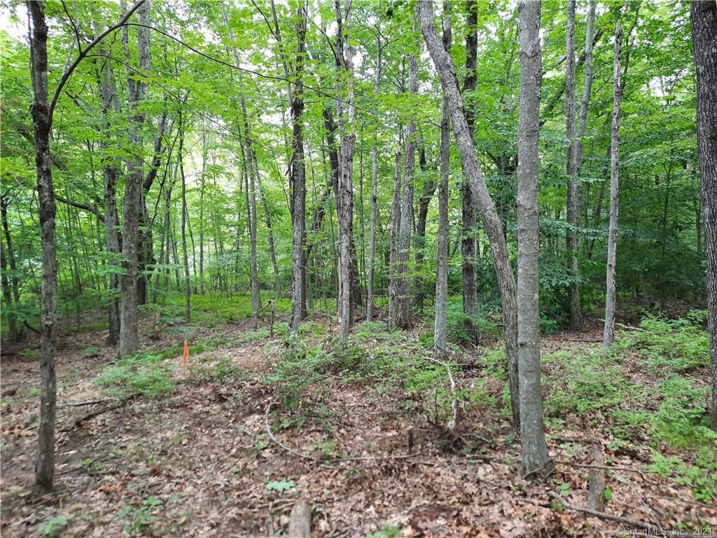 8B2 Joy Rd, Woodstock, CT 06281 Trulia