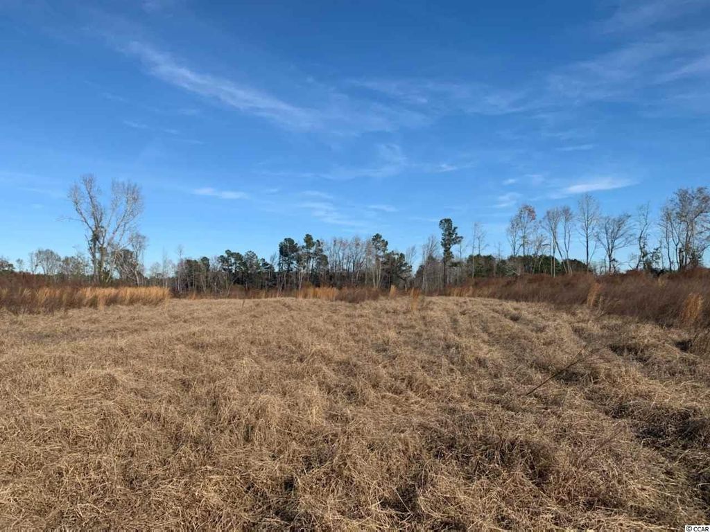 26 26/muddy Creek Rd, Hemingway, SC Lot/Land Trulia