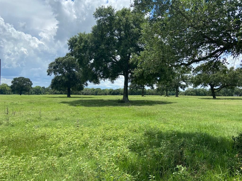 1050 Schmidt Rd, Round Top, TX 78954