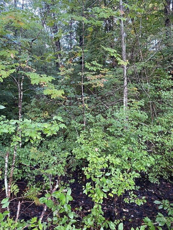 Greenwich Rd, Ware, MA 01082 Trulia