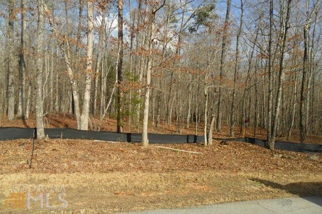 Abbington Way, Clarkesville, GA 30523