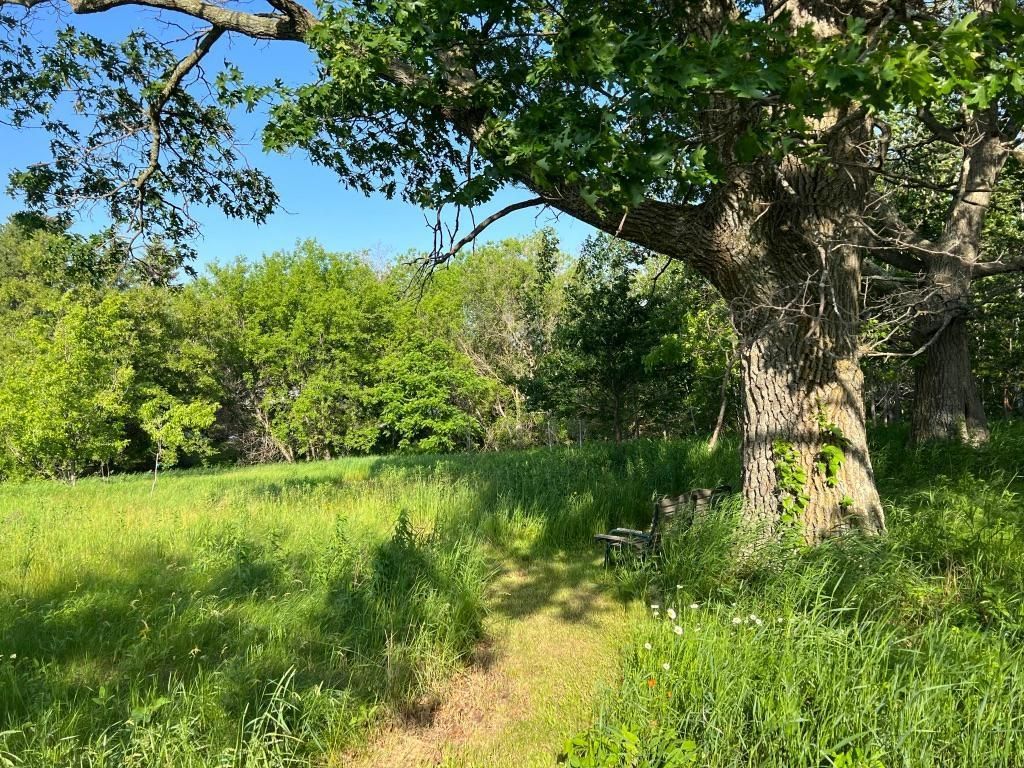 X County Rd 133, Deerwood, MN 56444 MLS 6377953 Trulia