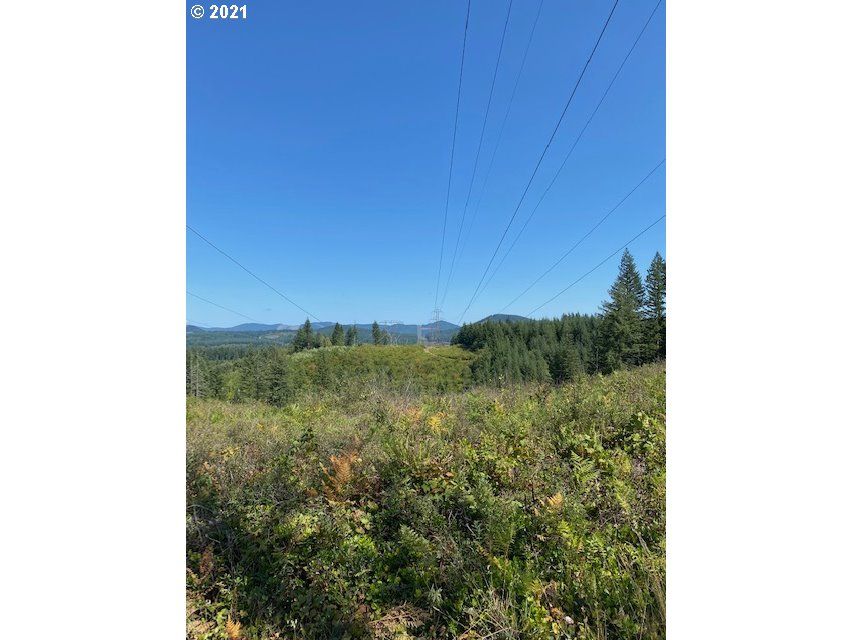 Skamania Mines Rd, Washougal, WA 98671 Trulia