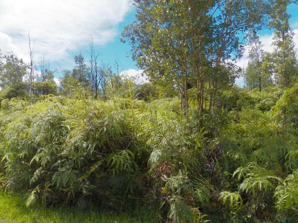 2781 Road 2, Kurtistown, HI 96760 Trulia