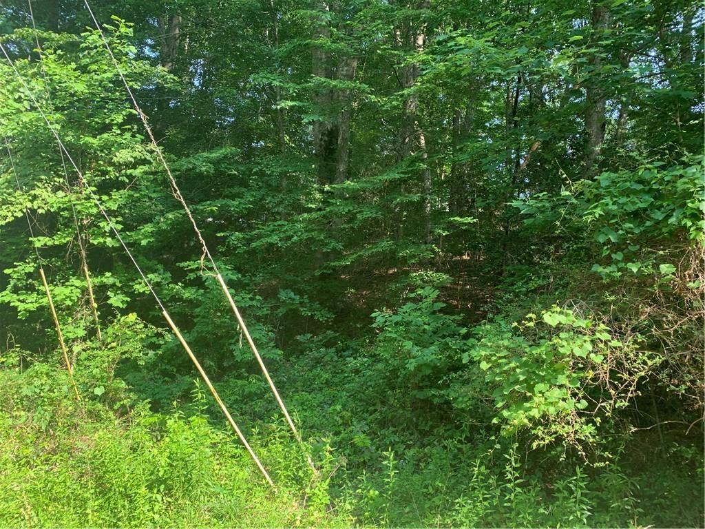 Loch Lomond Dr, Easley, SC 29640 Trulia