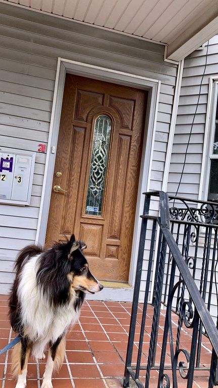 31 Derby St #1, Somerville, MA 02145