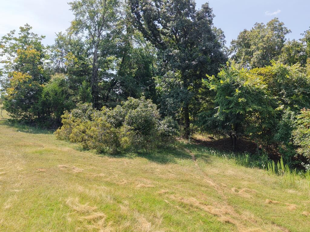 Photo 18 of 