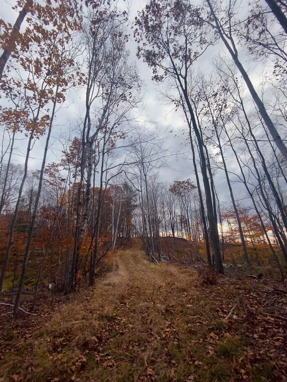 0 Colony Mine Road, Alstead, NH 03602 Trulia