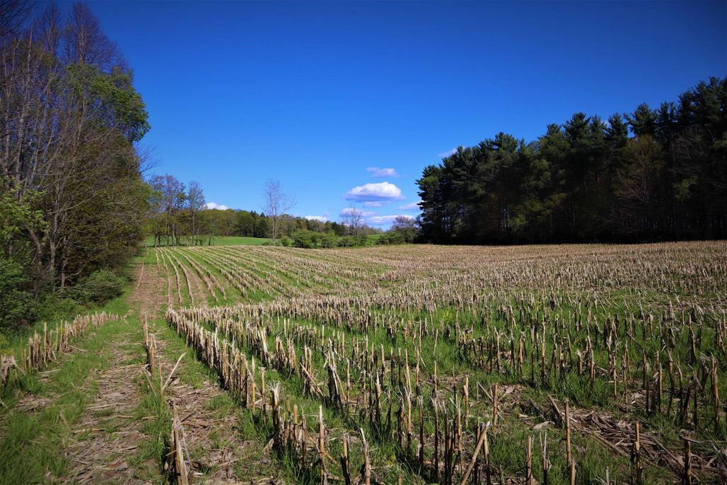 14194 Konert Rd, Collins, NY 14034 Trulia