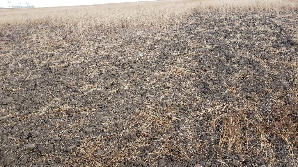 Farm Land, Stanford, MT 59479 Trulia