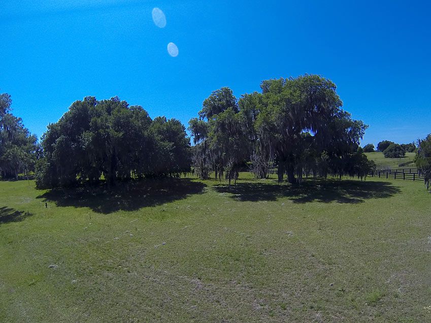 12227 Stonelake Ranch Blvd, Thonotosassa, FL 33592 Trulia