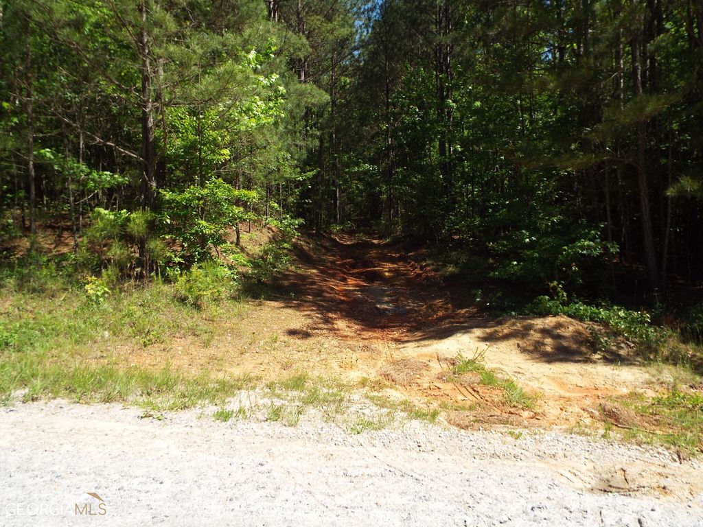 TRACT One Dunn Lake Rd, Molena, GA 30258 MLS 10155008 Trulia