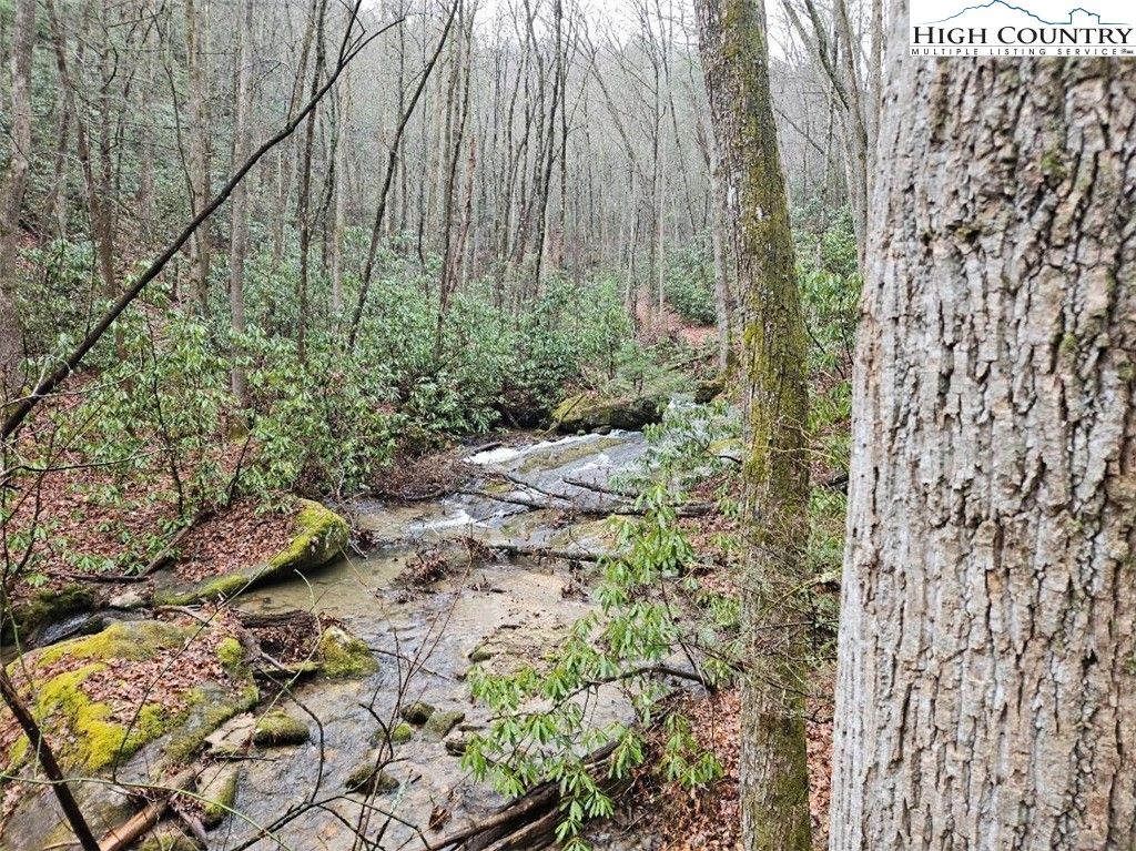 Lot 4 Clear Branch Road, Millers Creek, NC 28651