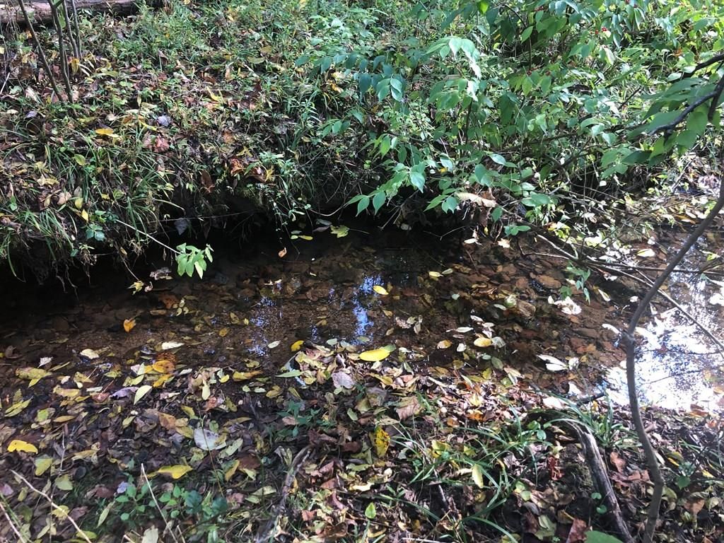 Rich Valley Rd, Bristol, VA 24202 MLS 95623 Trulia