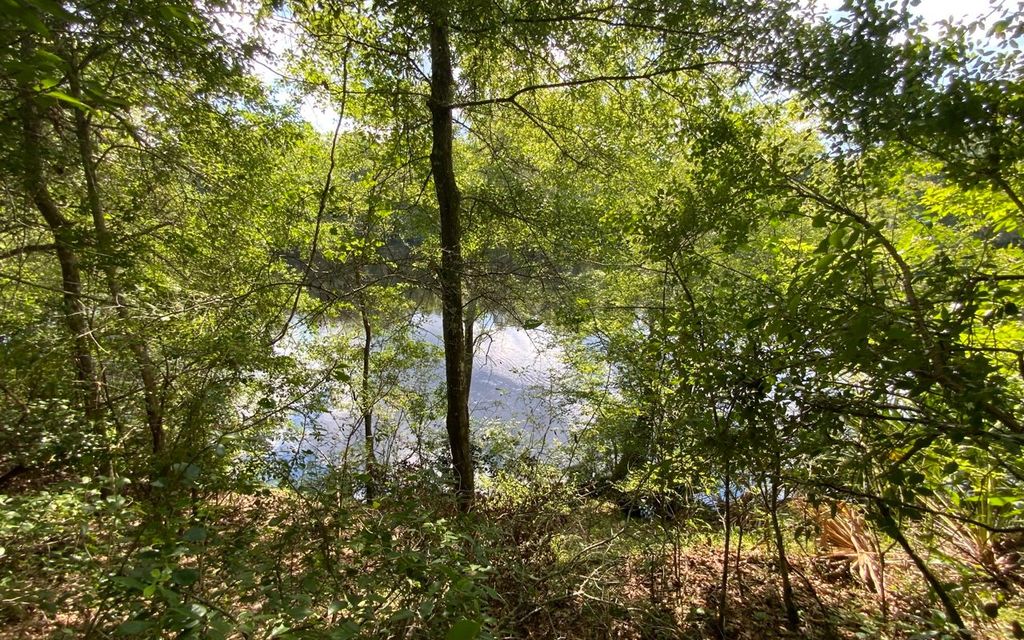 237TH RD, Dowling Park, FL 32064 Trulia