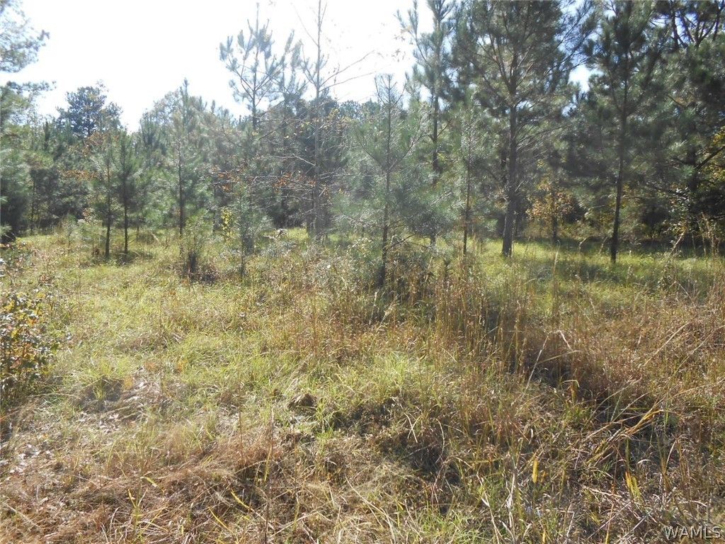 Wallace Rd, Cuba, AL 36907 Trulia