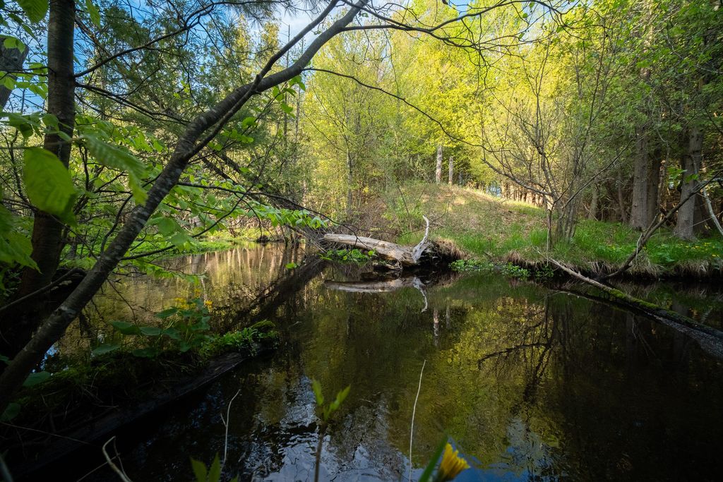 Chief Rd, Bear lake, MI 49614 MLS 24023789 Trulia