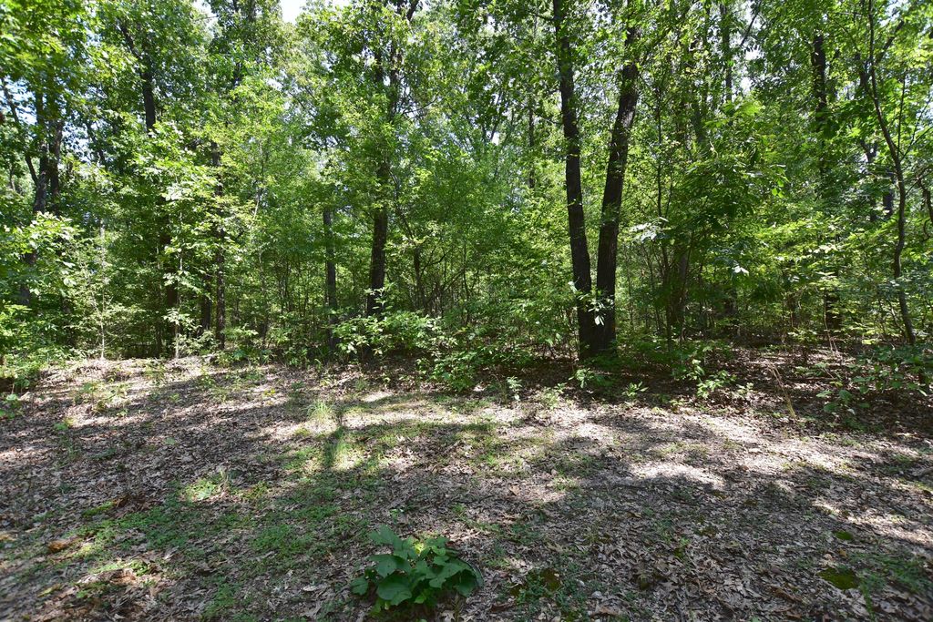 White Oak Rd, Seligman, MO 65745 Trulia