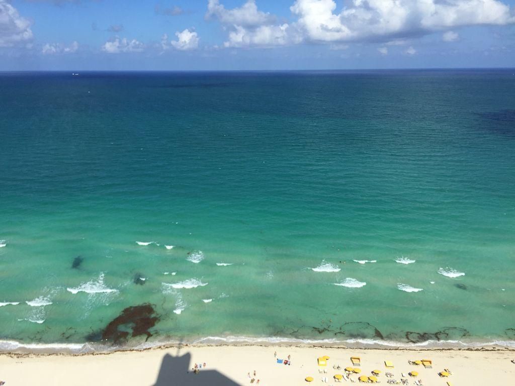 6301 Collins Ave #3002, Miami Beach, FL 33141