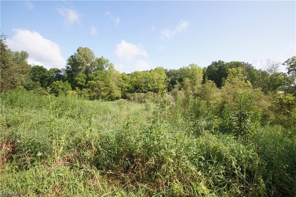LOT Patterson Rd B, North Lawrence, OH 44666 MLS 4466046 Trulia
