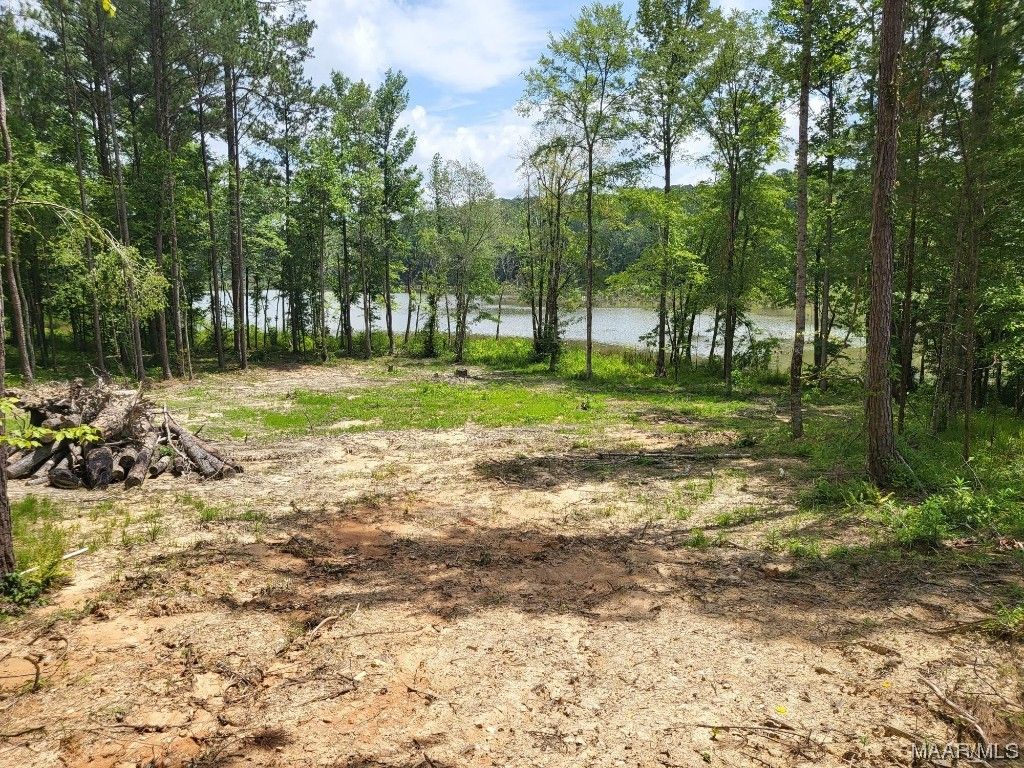 1290 Sturdivant Rd, Jacksons Gap, AL 36861 Trulia