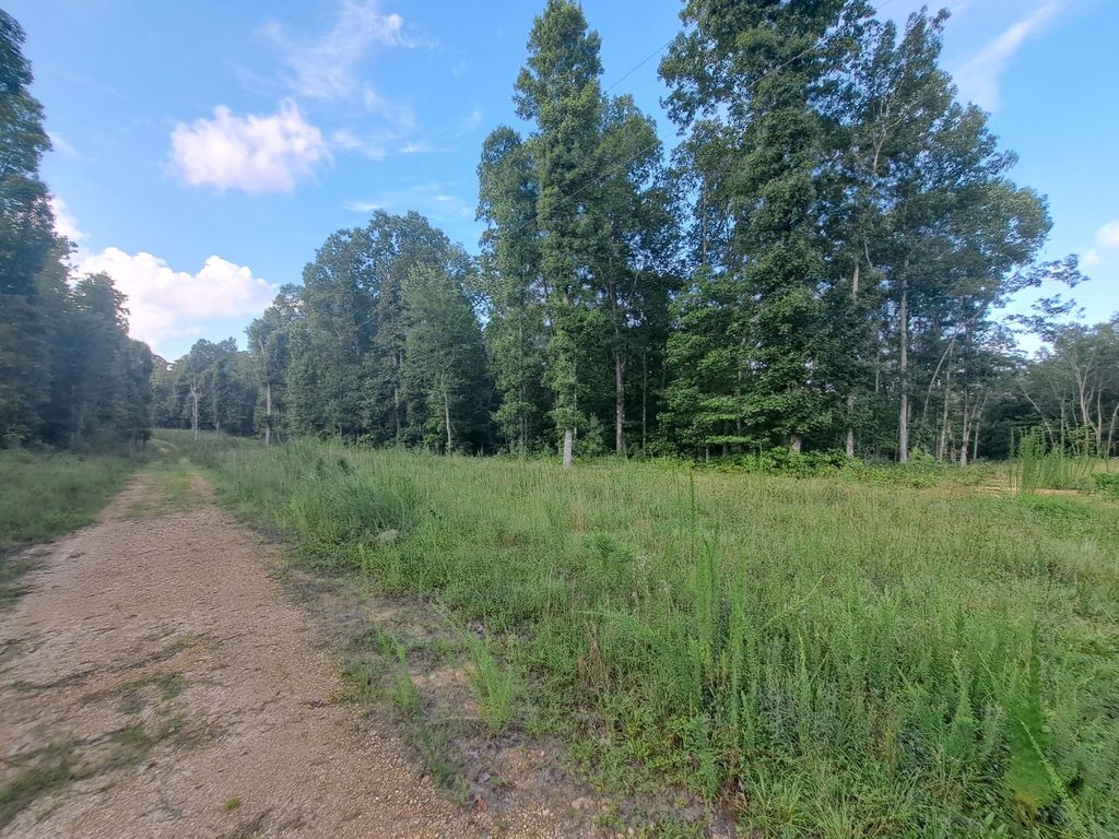 S Fortyeight Rd, Waynesboro, TN 38485 MLS 2548566 Trulia