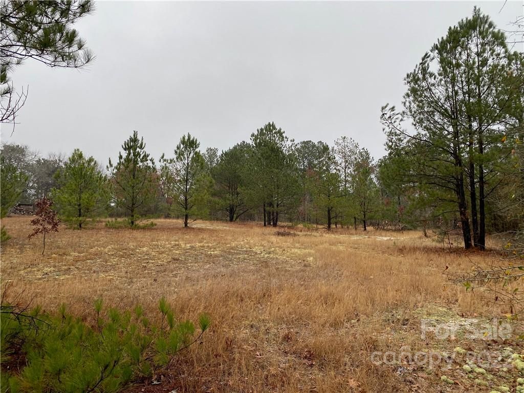 19AC Landfill Rd, Mount Croghan, SC 29727 MLS 3929973 Trulia