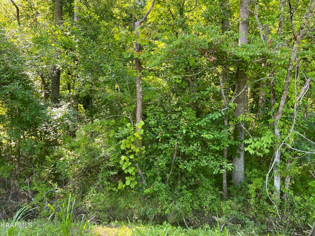 Rifle Range Dr, Knoxville, TN 37918 Trulia