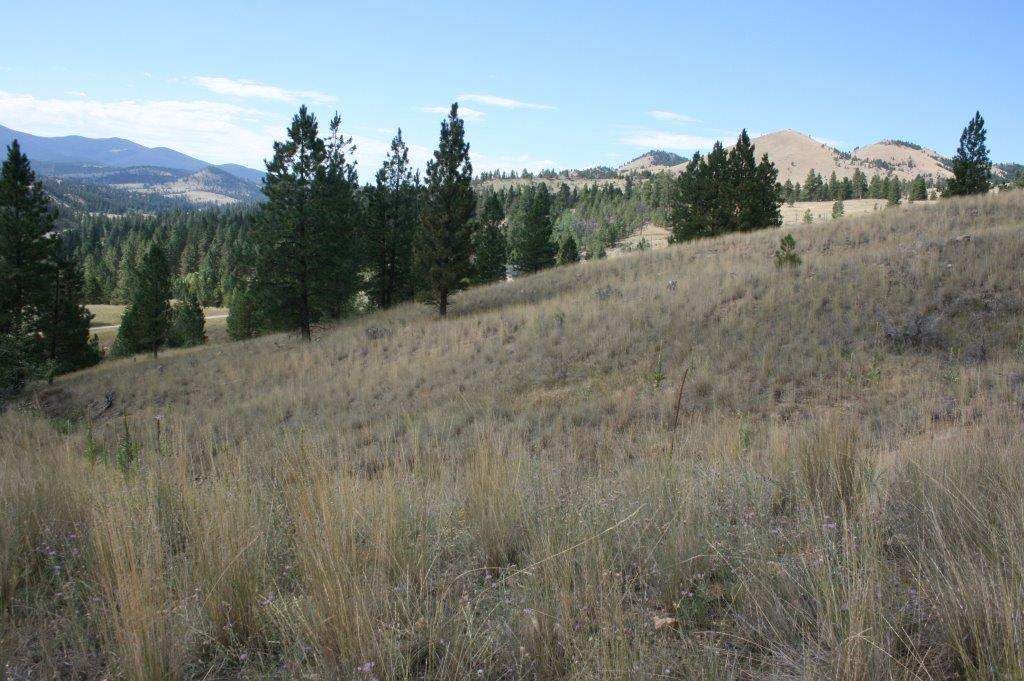 Tbd Edward Ln, Clancy, MT 59634 Trulia