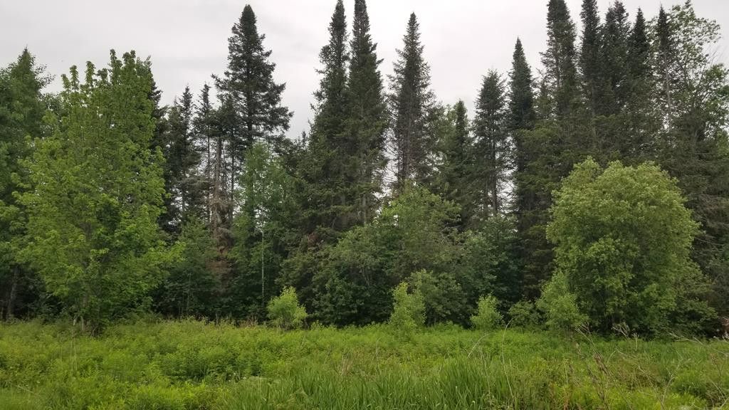 41 Wolf Pond Rd, Lyon Mountain, NY 12952 Trulia