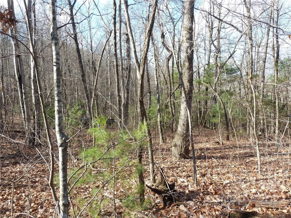 50 N Pointe Dr 50, Zirconia, NC 28790 Trulia