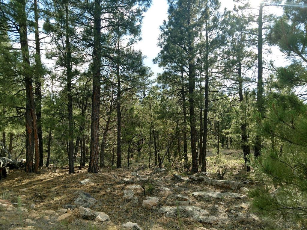 Happy Jack, AZ Trulia