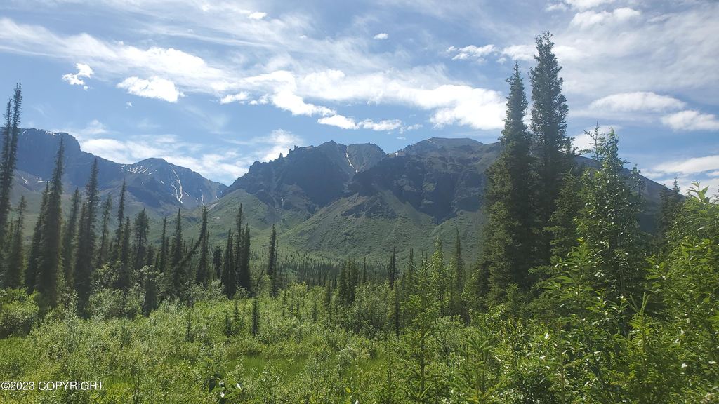 Mile 3 Nebesna Rd, Gakona, AK 99586 Trulia