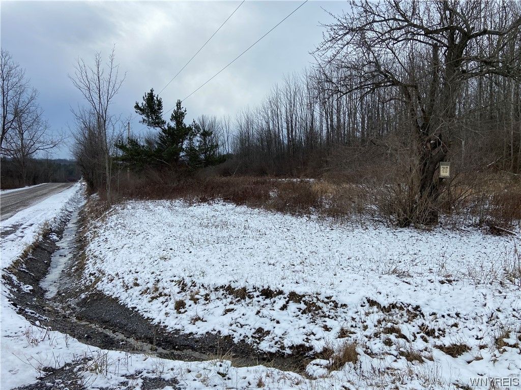 518 Tinkham Rd 429, Attica, NY 14011 MLS B1515951 Trulia