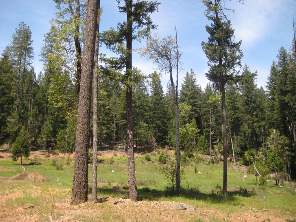 51 PO Box, Trinity Center, CA 96091 Trulia