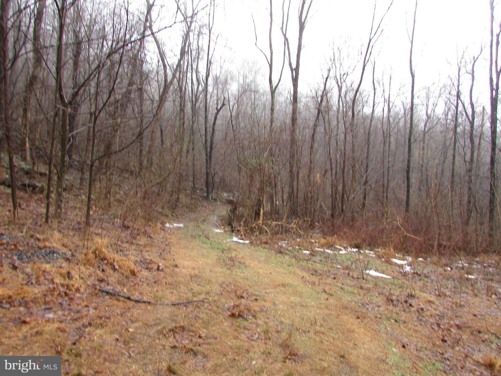 Woodland Lane Na, Huntly, VA 22640 Trulia