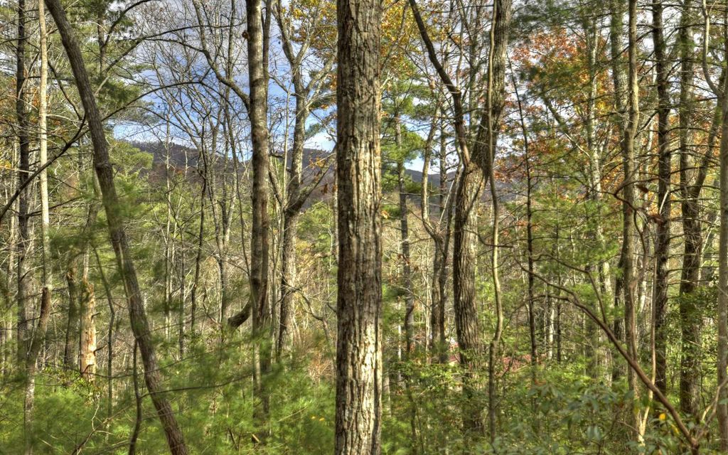 Lj364 Walnut Mountain, Ellijay, GA 30536 MLS 321139 Trulia