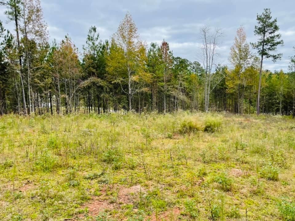 711 Parham Rd NW, Milledgeville, GA 31061 MLS 63967 Trulia