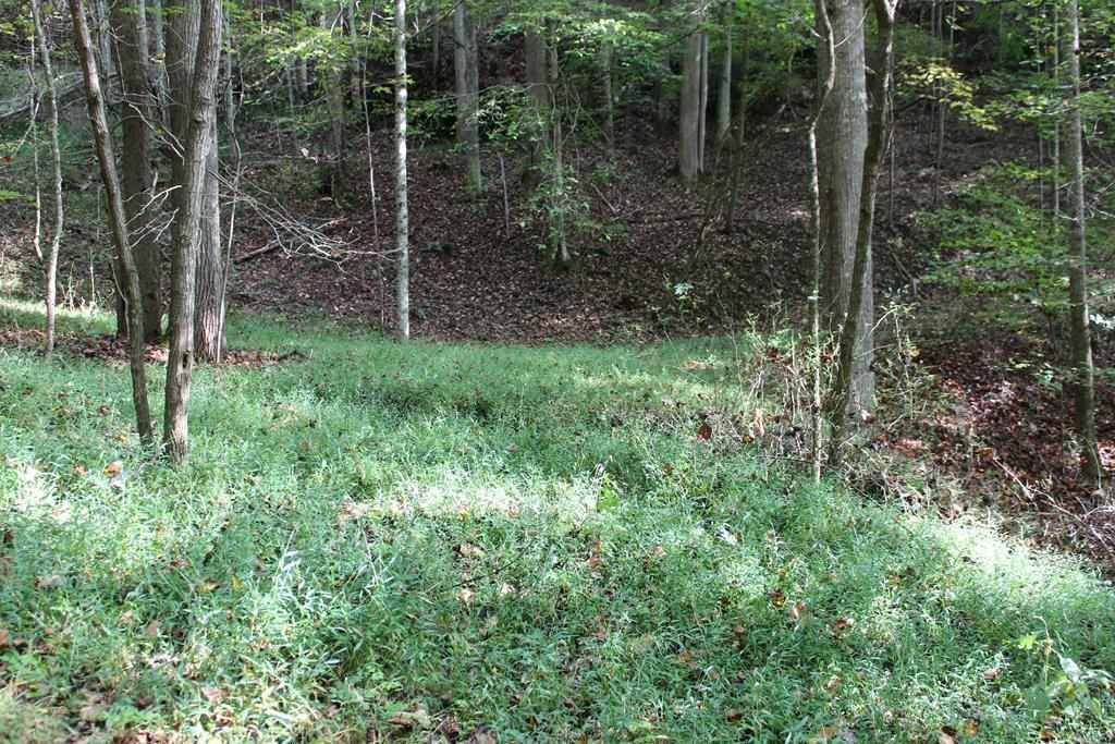 LT76 Cane River Mtn, Burnsville, NC 28714 Trulia