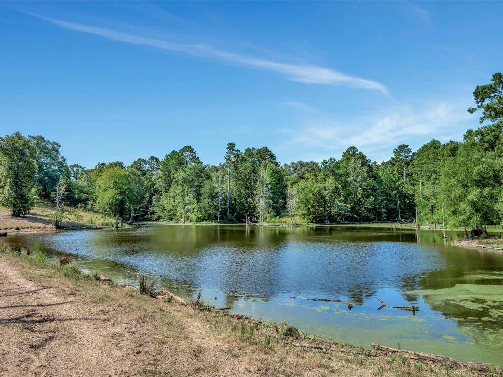 County Road 282, Garrison, TX 75946 Trulia