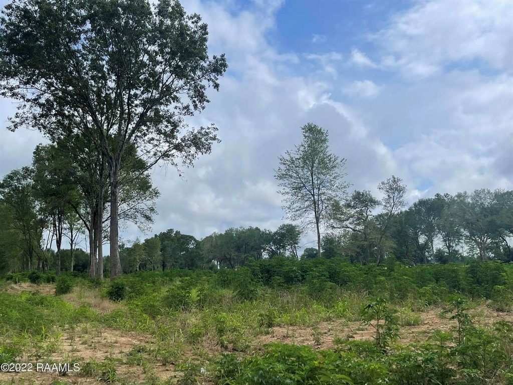 Ye Ole Country Rd 5, Iota, LA 70543 Trulia