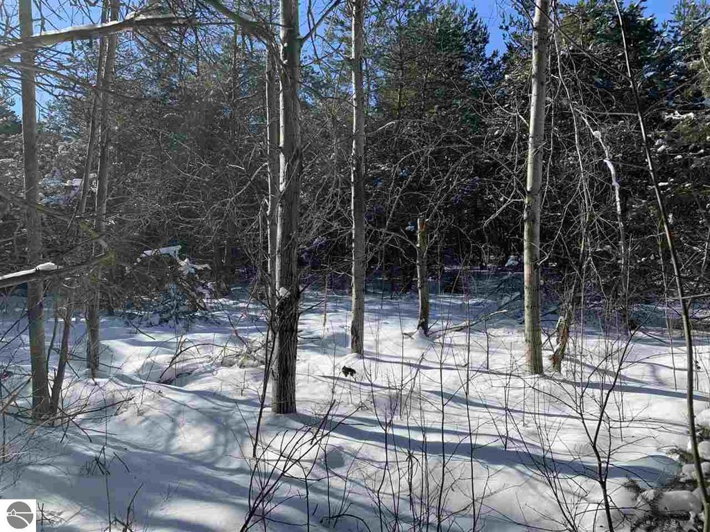 N 45th Rd, Manton, MI 49663 Trulia